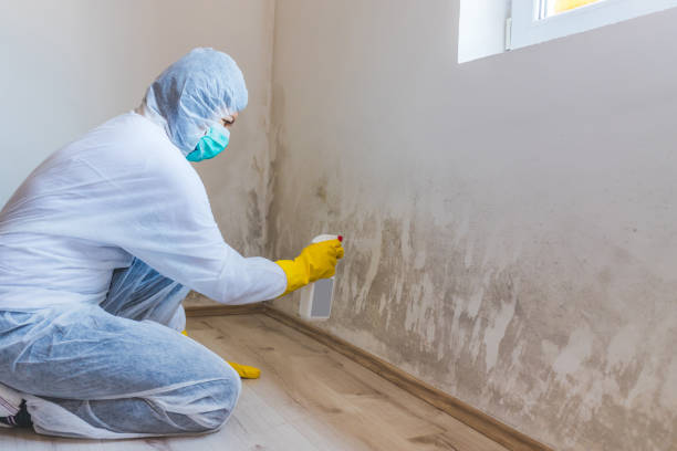 Mold inspector in Groveland performing thermal imaging